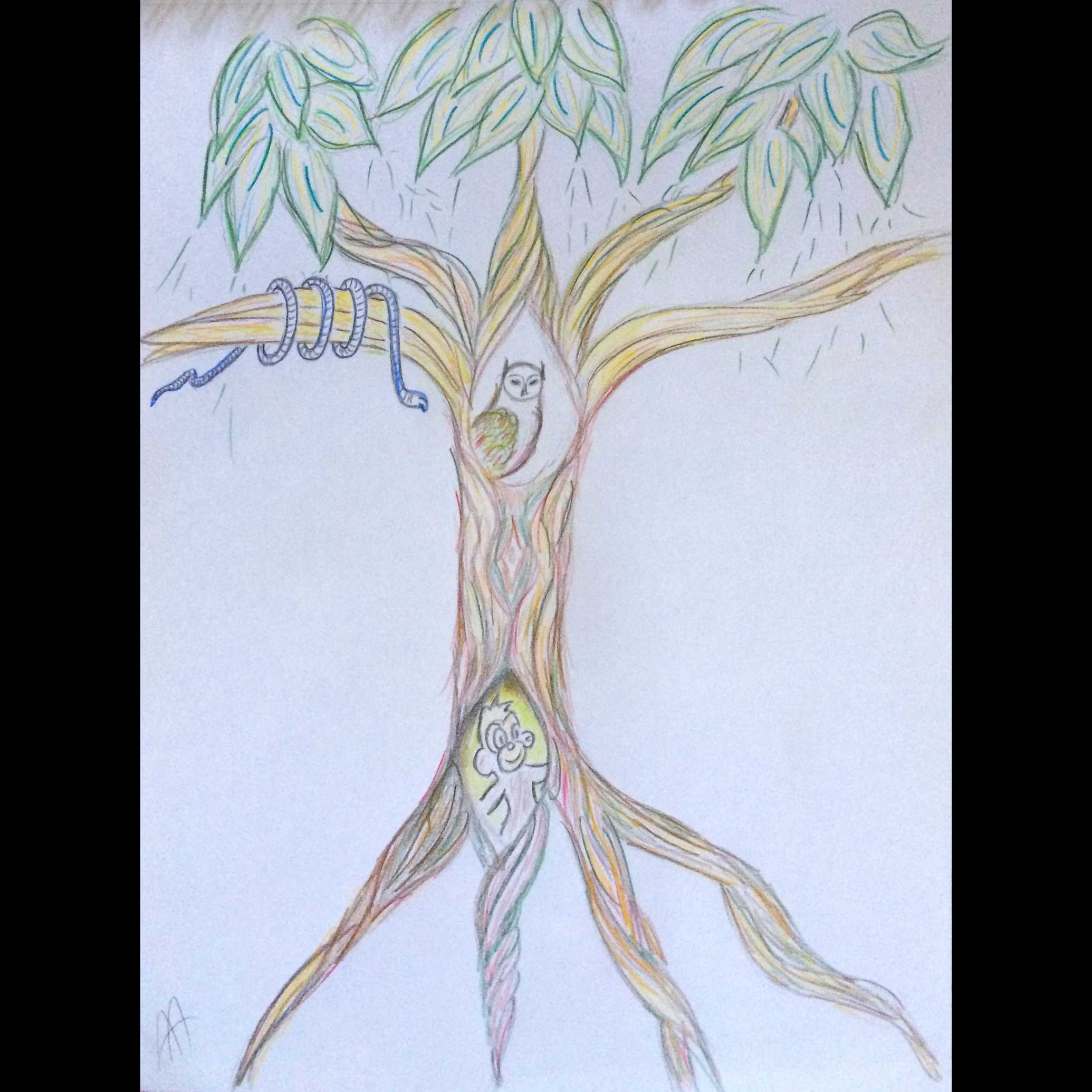 cover afbeelding Het geheim van de boom der wijsheid